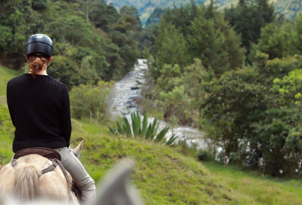 La Cabana Ecohotel - Valle Del Cocora ซาเลนโต ภายนอก รูปภาพ