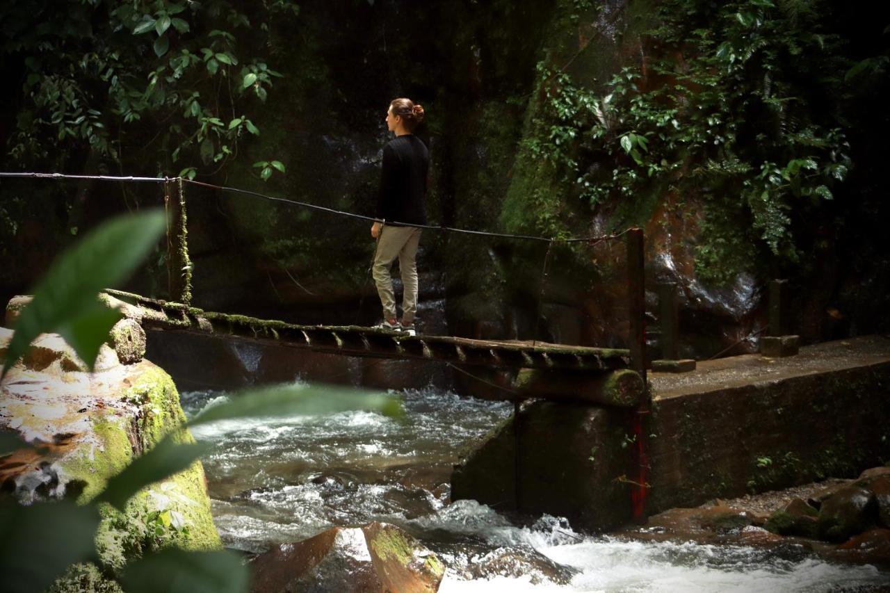 La Cabana Ecohotel - Valle Del Cocora ซาเลนโต ภายนอก รูปภาพ