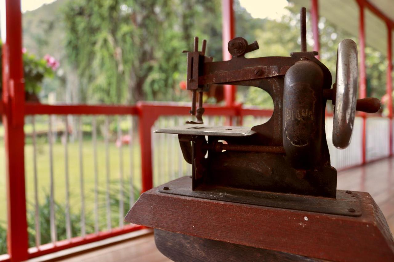 La Cabana Ecohotel - Valle Del Cocora ซาเลนโต ภายนอก รูปภาพ