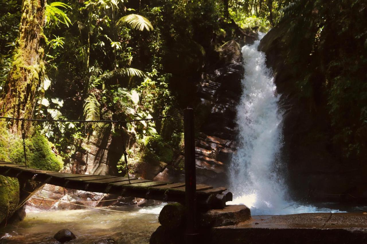 La Cabana Ecohotel - Valle Del Cocora ซาเลนโต ภายนอก รูปภาพ