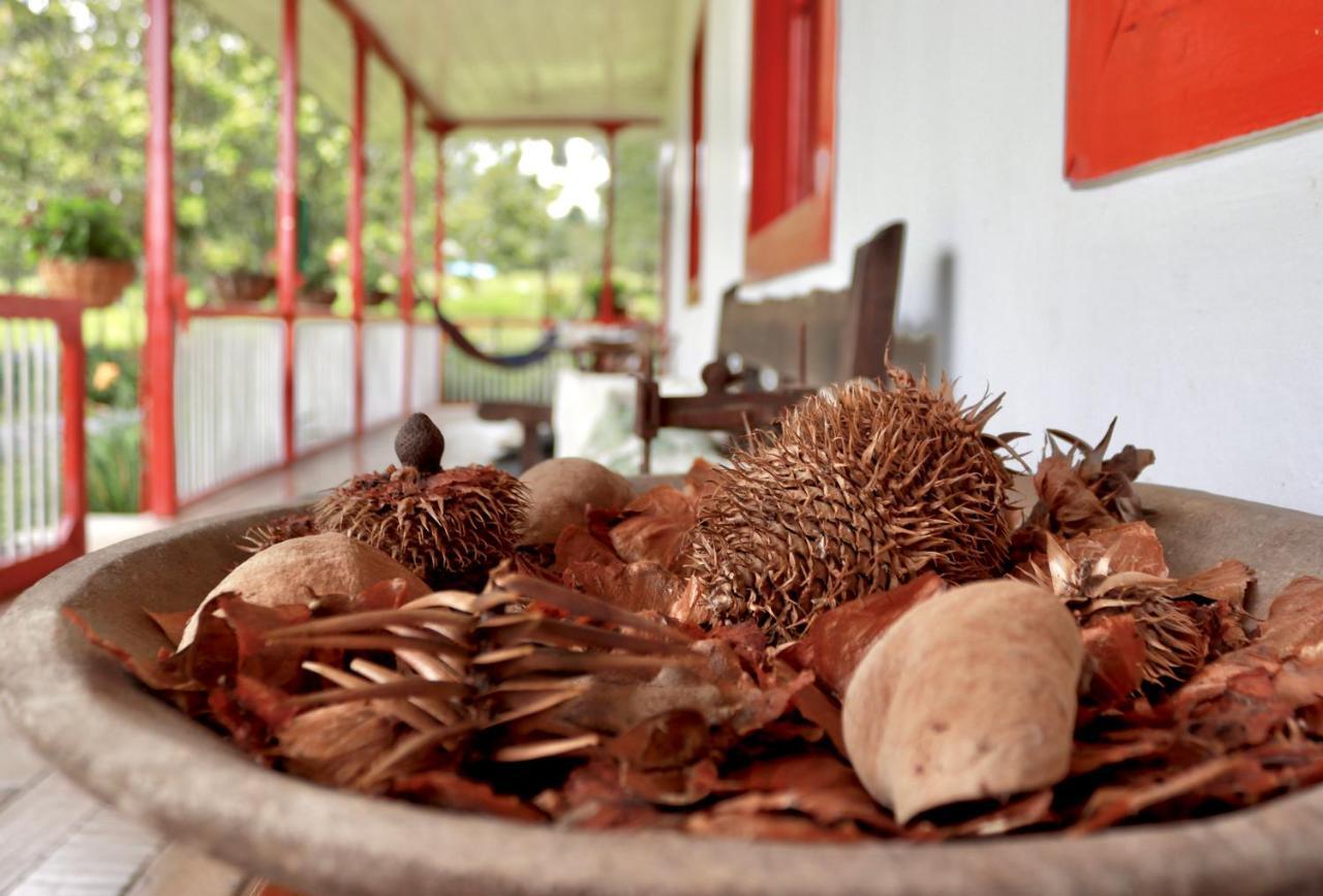 La Cabana Ecohotel - Valle Del Cocora ซาเลนโต ภายนอก รูปภาพ