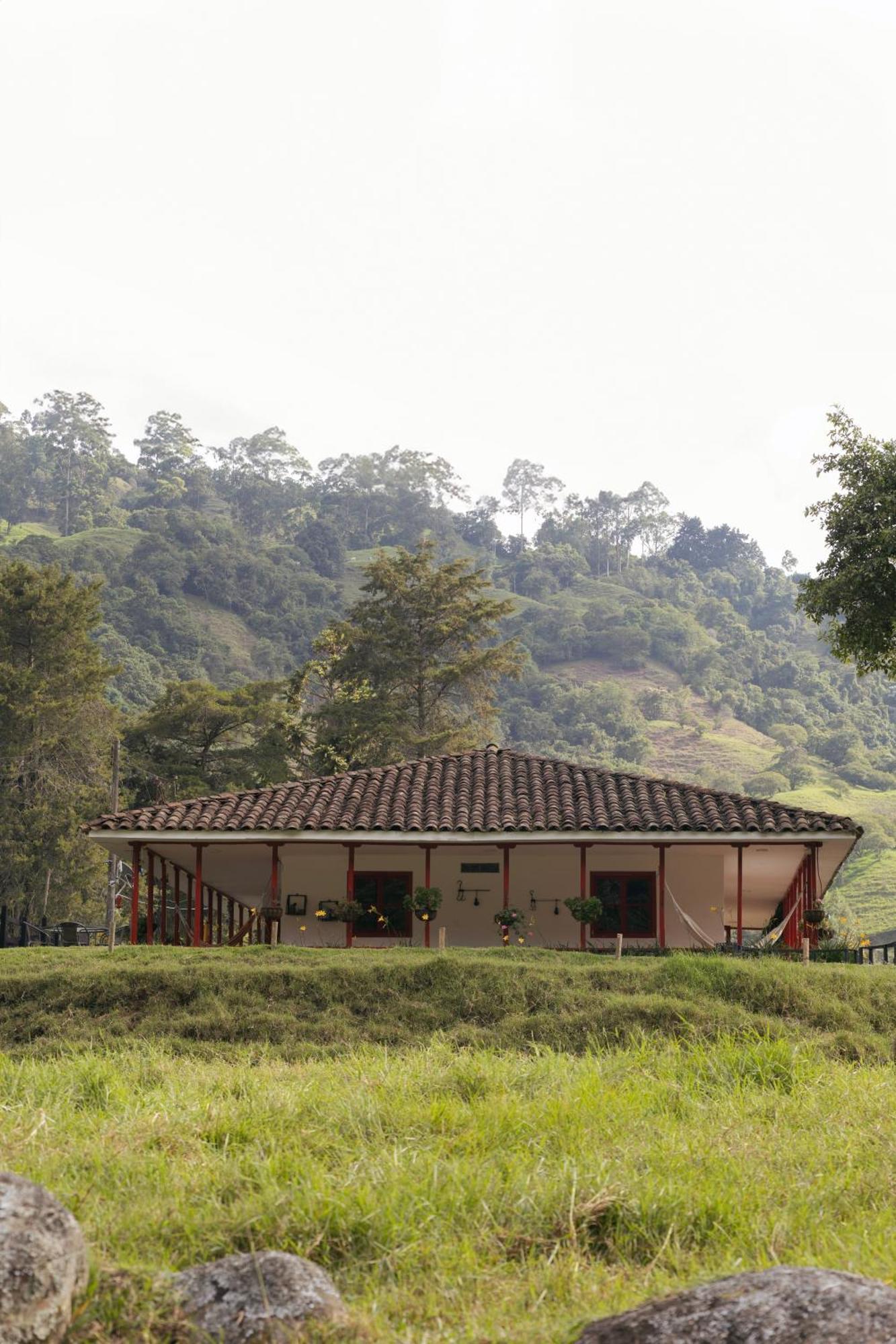 La Cabana Ecohotel - Valle Del Cocora ซาเลนโต ภายนอก รูปภาพ