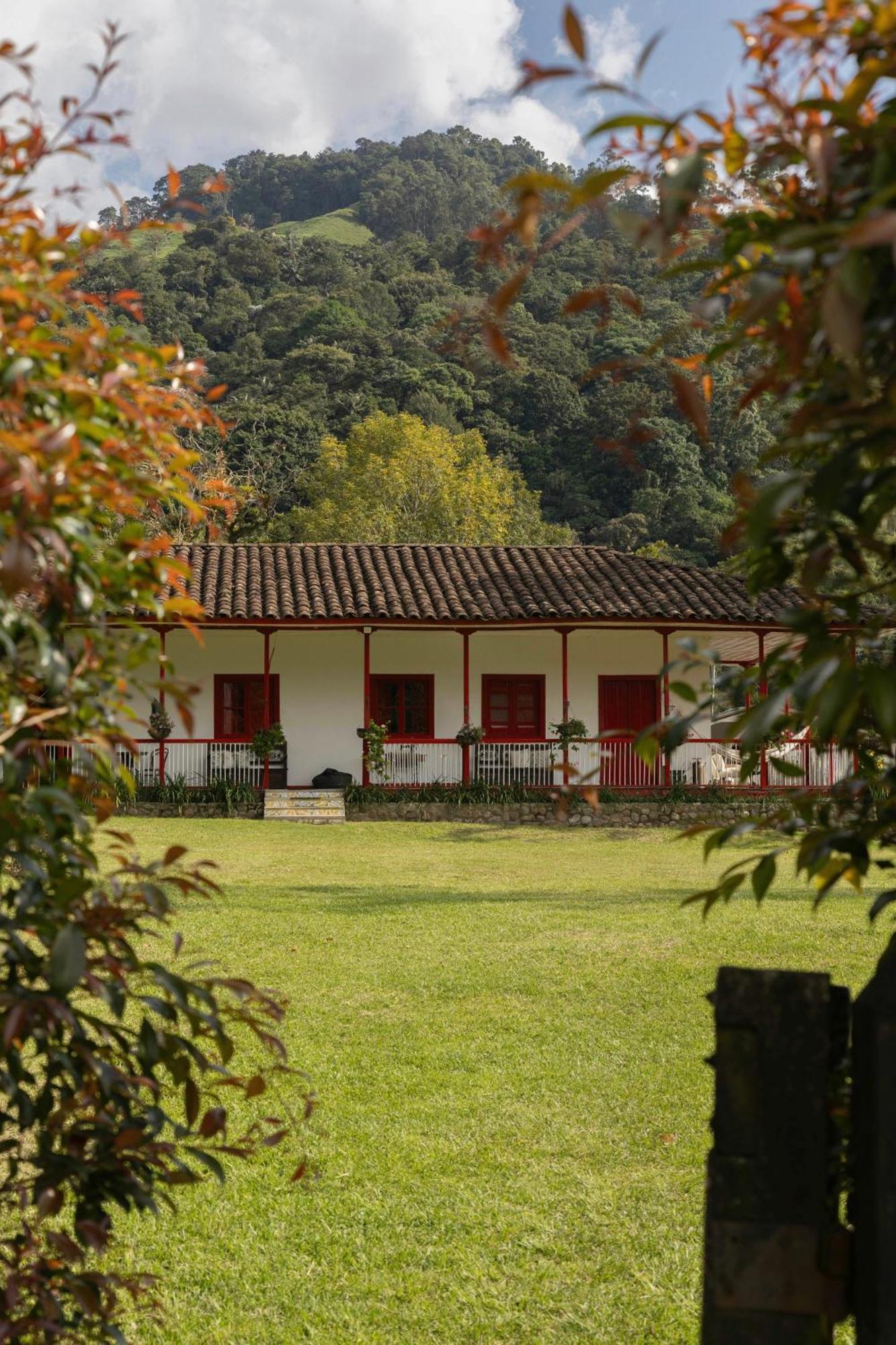La Cabana Ecohotel - Valle Del Cocora ซาเลนโต ภายนอก รูปภาพ