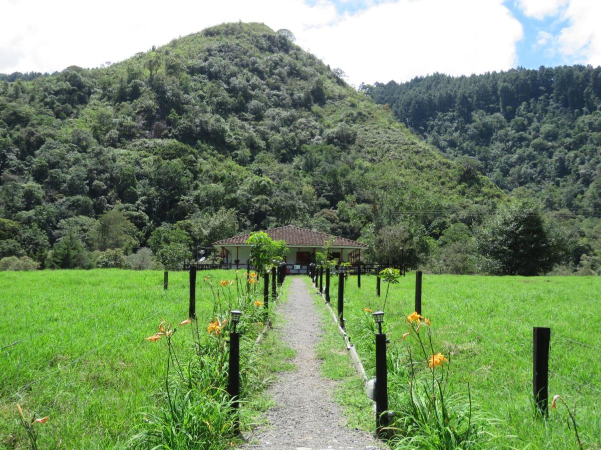 La Cabana Ecohotel - Valle Del Cocora ซาเลนโต ภายนอก รูปภาพ